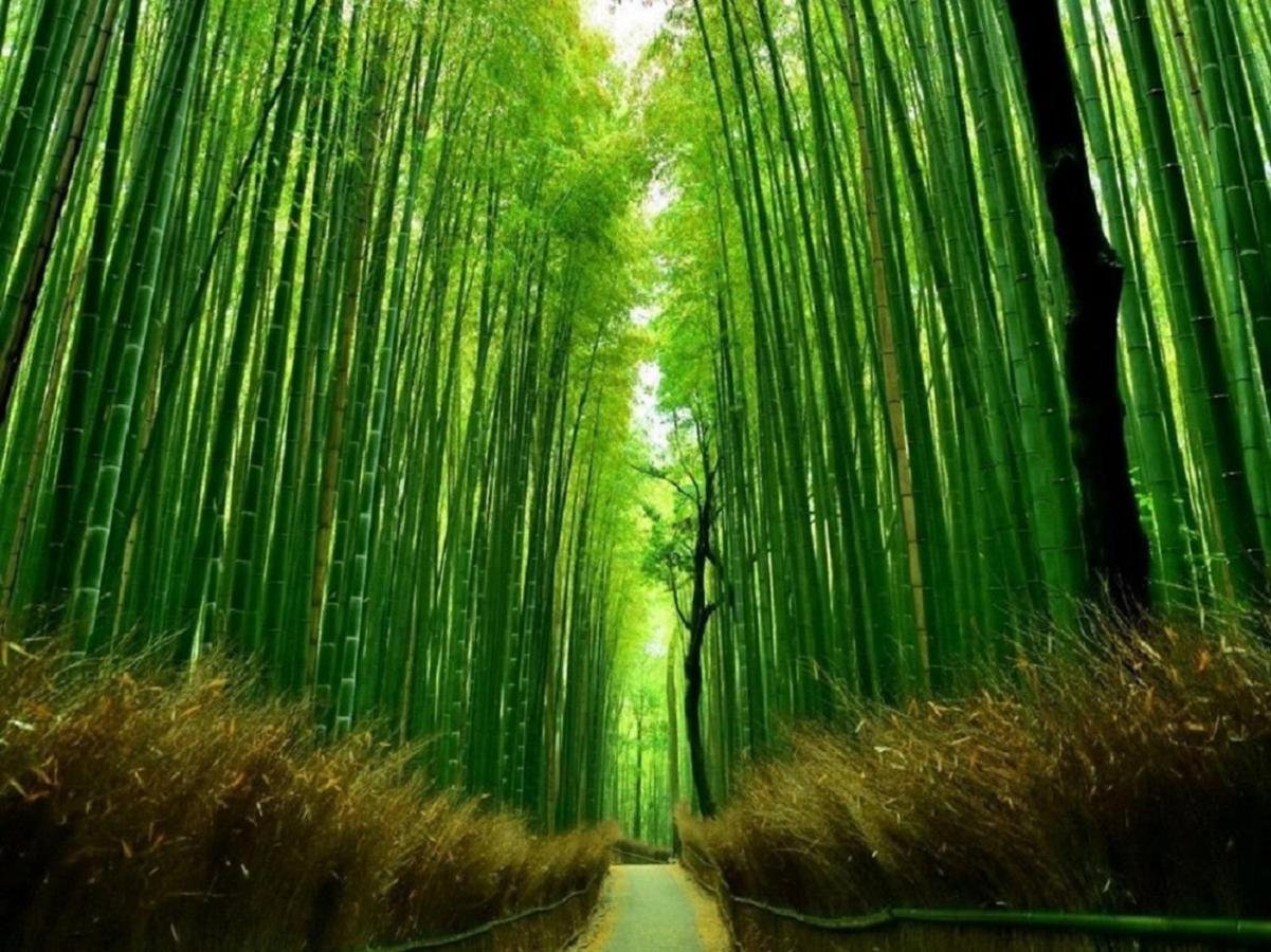 行灯離れ京都五条 Andon Hanare Kyoto Gojo المظهر الخارجي الصورة